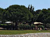 Amarin Camp 